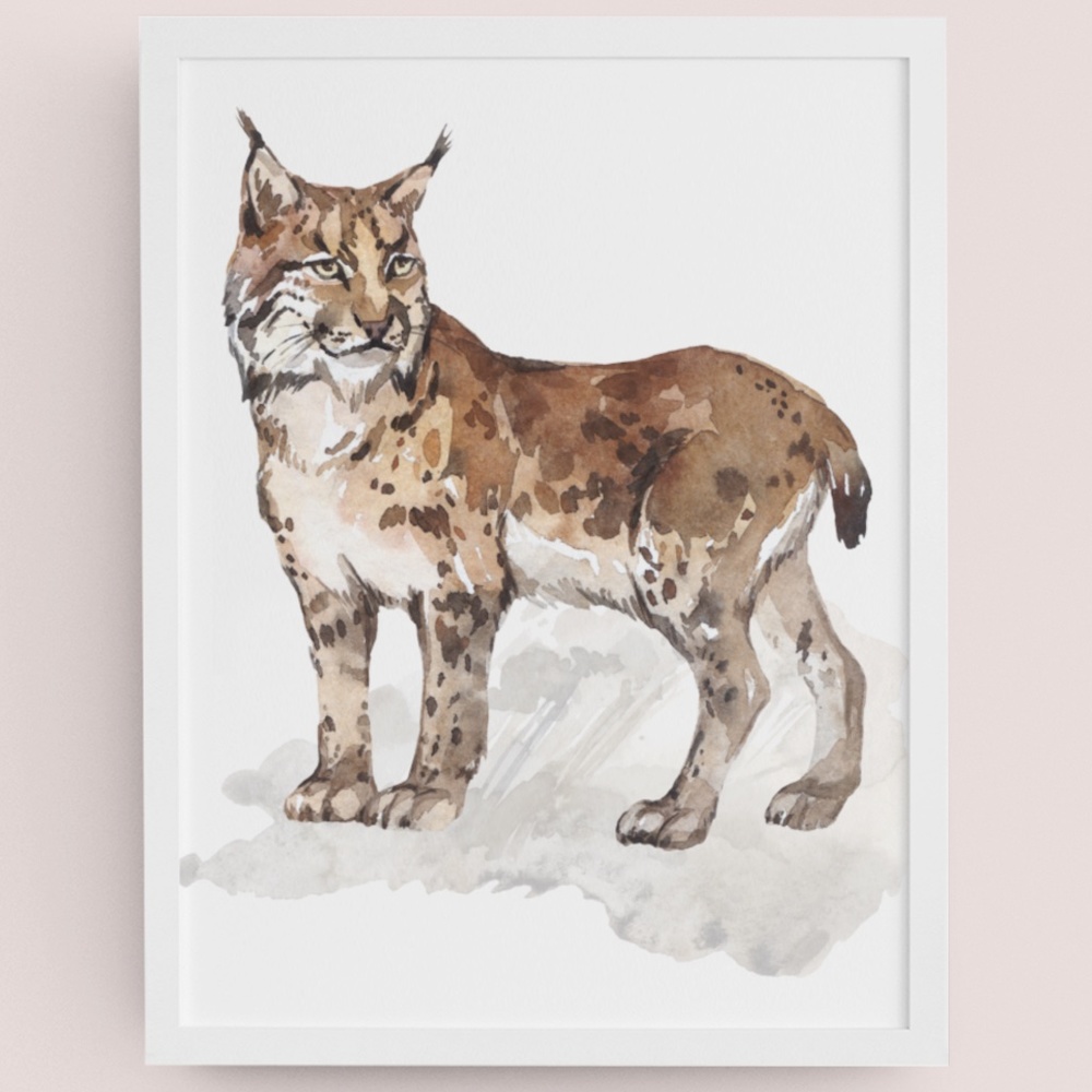 Wall Art Watercolor Lynx Bobcat Illustration Print Poster Unframed - Picture 9 of 17